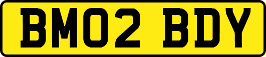 BM02BDY