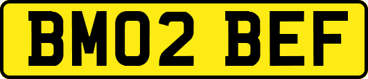 BM02BEF
