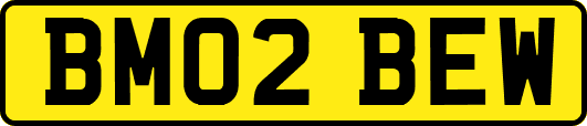 BM02BEW