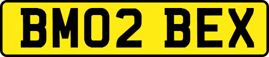 BM02BEX
