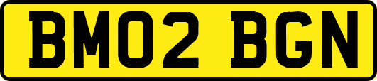 BM02BGN