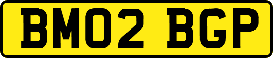 BM02BGP