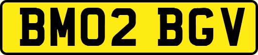 BM02BGV
