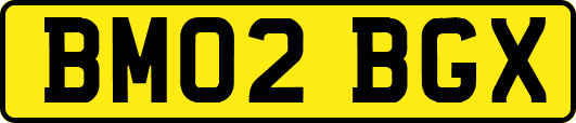 BM02BGX