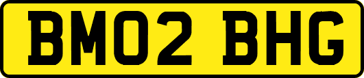 BM02BHG