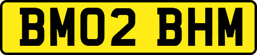 BM02BHM