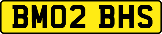 BM02BHS
