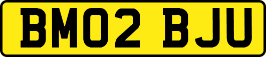 BM02BJU