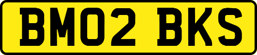 BM02BKS