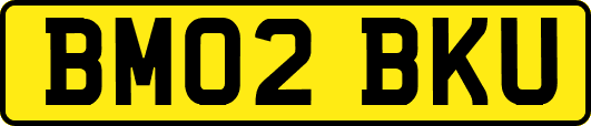BM02BKU