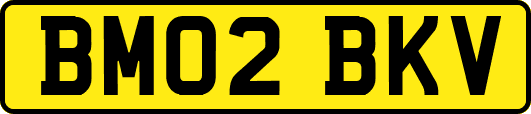 BM02BKV