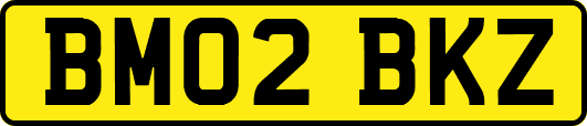 BM02BKZ
