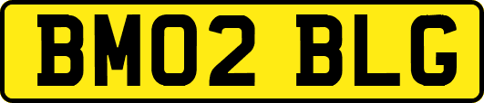 BM02BLG