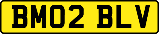 BM02BLV