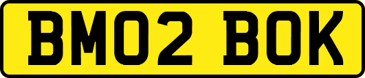 BM02BOK
