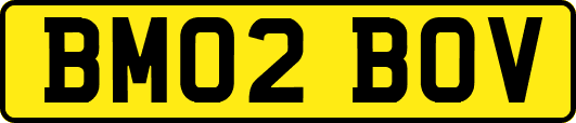 BM02BOV
