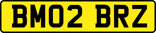 BM02BRZ