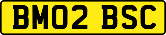 BM02BSC