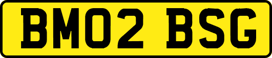BM02BSG