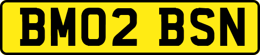 BM02BSN
