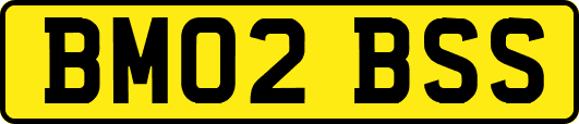 BM02BSS