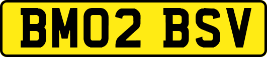 BM02BSV