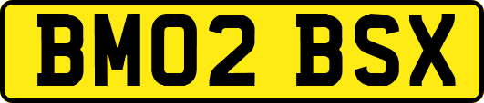 BM02BSX
