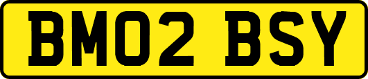 BM02BSY