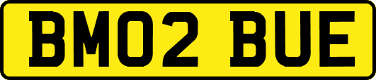 BM02BUE