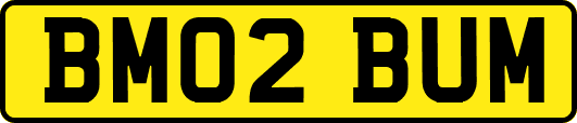 BM02BUM