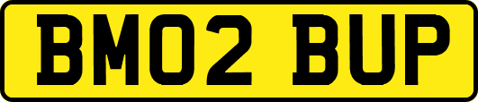 BM02BUP