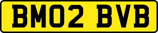 BM02BVB