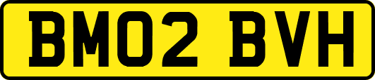 BM02BVH