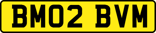 BM02BVM