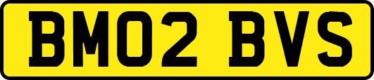 BM02BVS