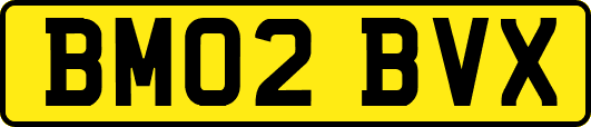 BM02BVX