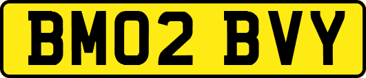 BM02BVY