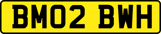 BM02BWH