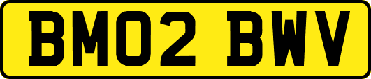 BM02BWV