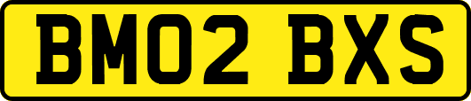 BM02BXS
