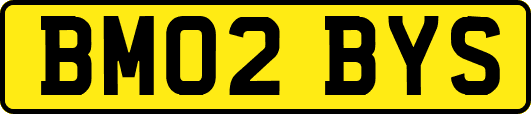 BM02BYS