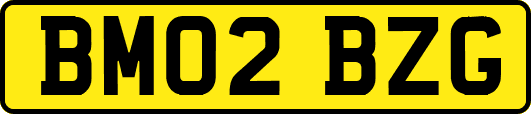 BM02BZG
