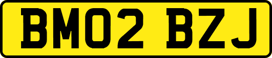 BM02BZJ