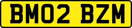 BM02BZM
