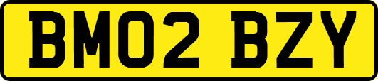 BM02BZY