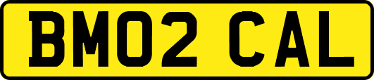 BM02CAL
