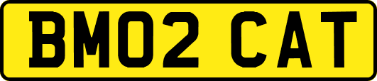 BM02CAT