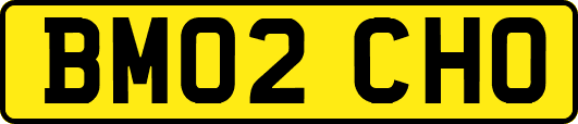 BM02CHO