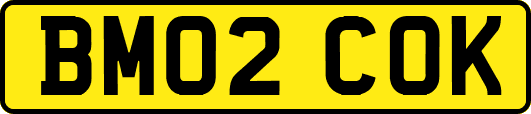 BM02COK