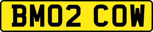 BM02COW